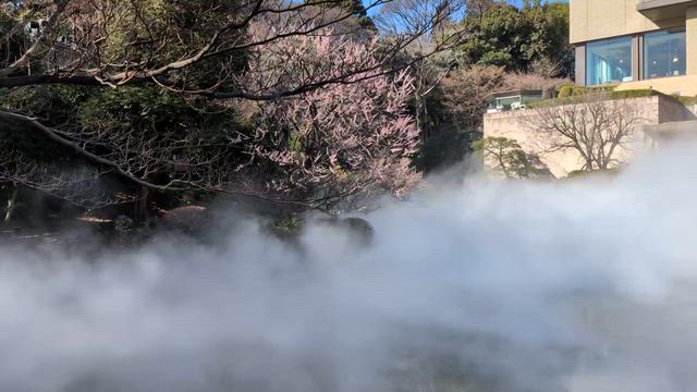 #休日のおでかけブログ〜Lunch＠椿山荘～の記事動画