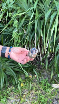 【お出かけ】奄美大島の生きもの キノボリトカゲと大きなオカヤドカリの記事動画