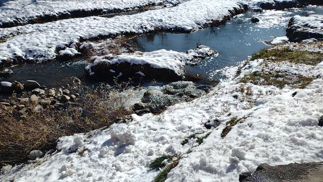 美しい雪景色の神社さま⛩️の記事動画