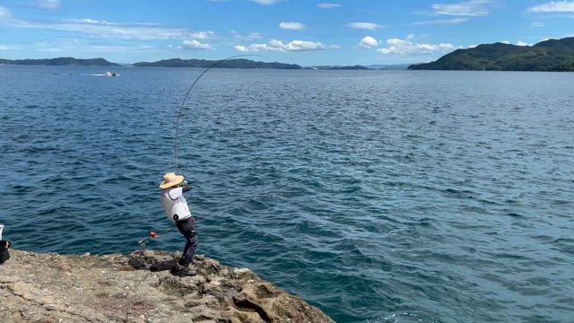 大瀬戸近場でガッキー釣り大会（＾ω＾）の記事動画