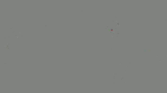 夏のお楽しみ会0・1歳児りすぐみさんの様子♪の記事動画