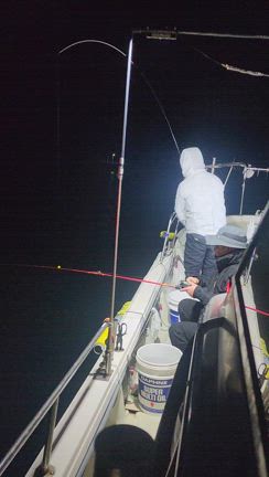 令和7年2月22日仲丸釣果の記事動画