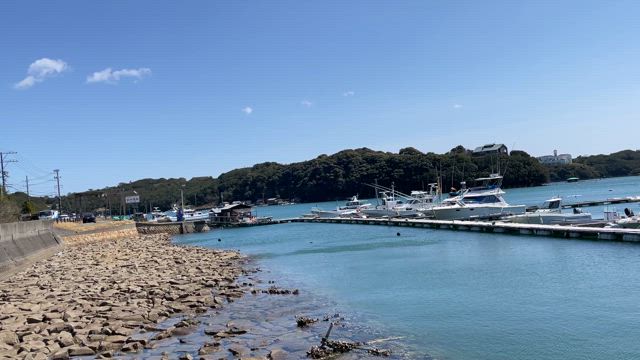 新しい門出の記事動画