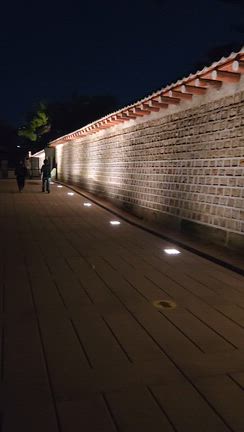 秋と夜間景観の記事動画