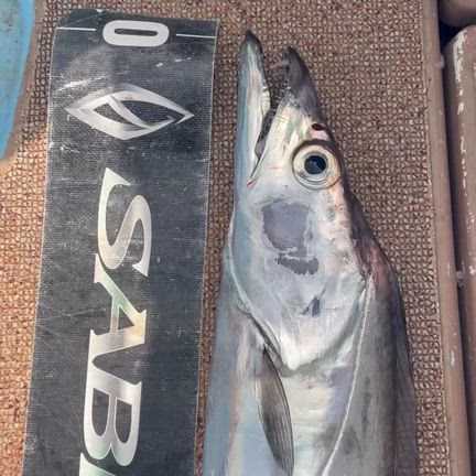 2026/03/29の記事動画