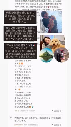 パニックを通り越して呆然としてたあの時、寄り添ってくれてありがとうございました。の記事動画