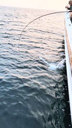 ふじよしまる日記 遊漁船 第二藤義丸さんのプロフィールページ