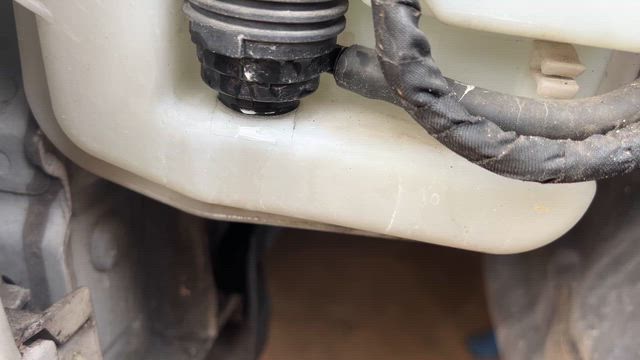 昨日も明日もですが今日も。の記事動画