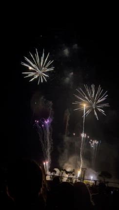 花火大会行ってきた！の記事動画
