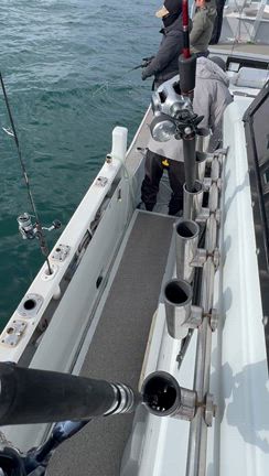 完璧の記事動画