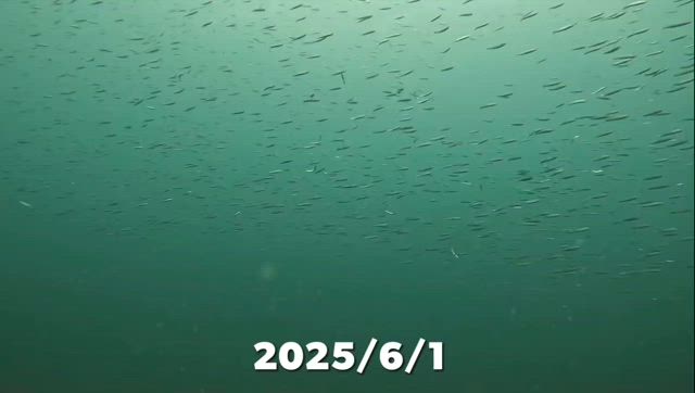 2025/06/01の記事動画