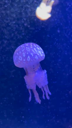 2026/3/1 眠気と倦怠感でダウンの記事動画