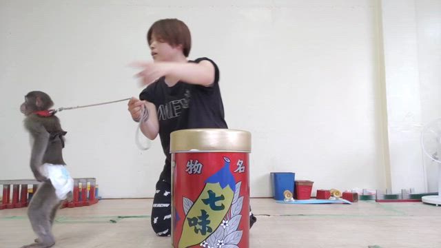 新技練習中！の記事動画