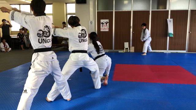 本日の神戸本部　テコンドークラスの記事動画