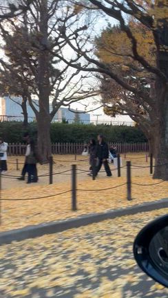 パリサイズのケーキは大き過ぎるの記事動画