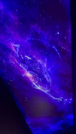 万博へ行きました⑤オーストラリア館の記事動画