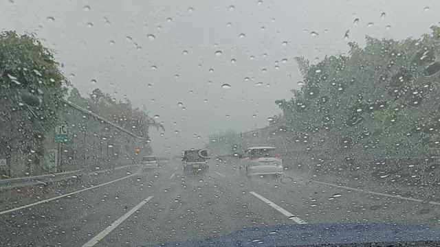 餌問題と閉幕の記事動画