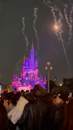 感動したシンデレラ城のマッピングの記事動画