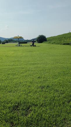 朝活の記事動画