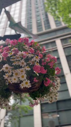 ◉動画を撮るようになって、さらに豊かな時間が増えましたの記事動画