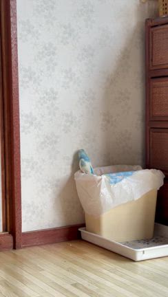 メガバク持ちインコのその後の記事動画