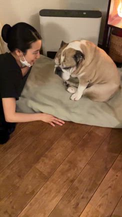 今日もしんちゃんはの記事動画