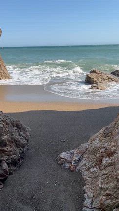 伊良湖　菜の花ガーデンと日出の石門の記事動画