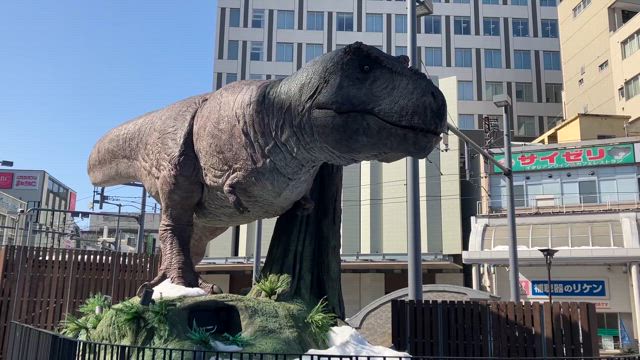 【残り◯県】北陸旅行♡〜その他編〜の記事動画