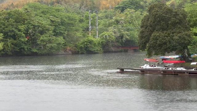 連休の初日　の記事動画