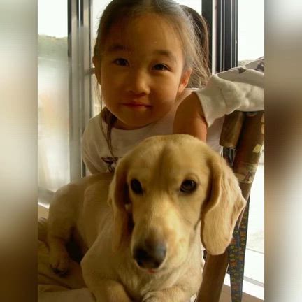 娘の誕生日の記事動画