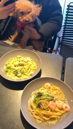 くぅちゃん。の記事動画