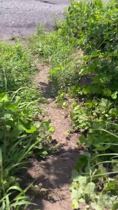 魂の解放の記事動画