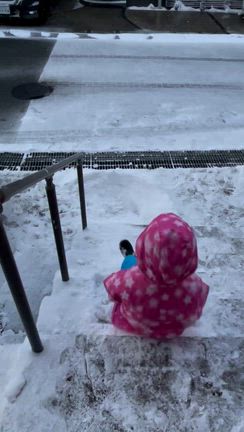久しぶりのドカ雪　2026/2/8.9の記事動画