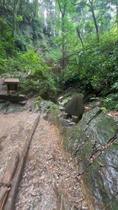 ♡6月16日今日のメッセージ♡の記事動画