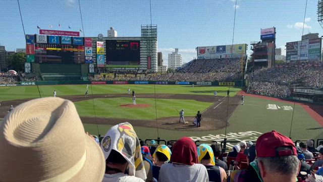 今年初～～～雨予報なんですけど～～～雨予報？？？の記事動画