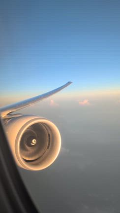 バンコク―羽田　ＪＡＬ機内食の記事動画