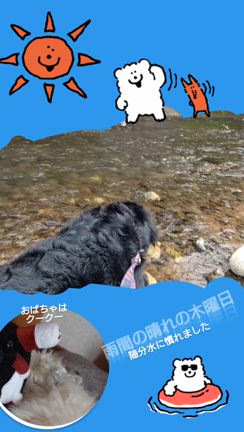 もんじゃと川遊びの記事動画