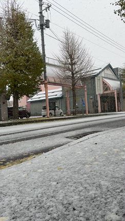 積雪の記事動画