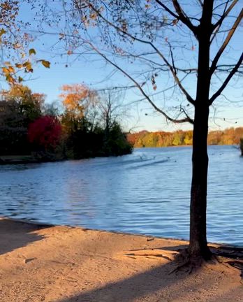 サマータイム終了＆NYCマラソンの記事動画