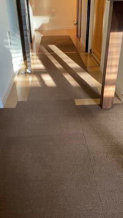 ありくくの体重推移の記事動画