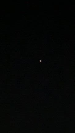 見上げると。。。の記事動画