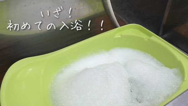 久しぶりの投稿の記事動画