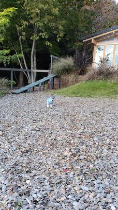 山梨へ紅葉の旅２０２５⑥STAY366　DAY2の記事動画