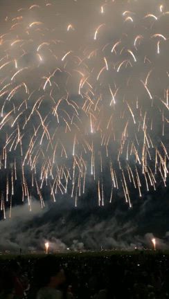 長岡の花火大会の記事動画