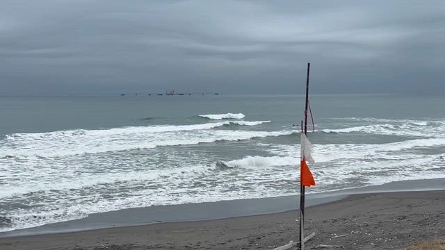 シカッティ　１１時２０分の記事動画