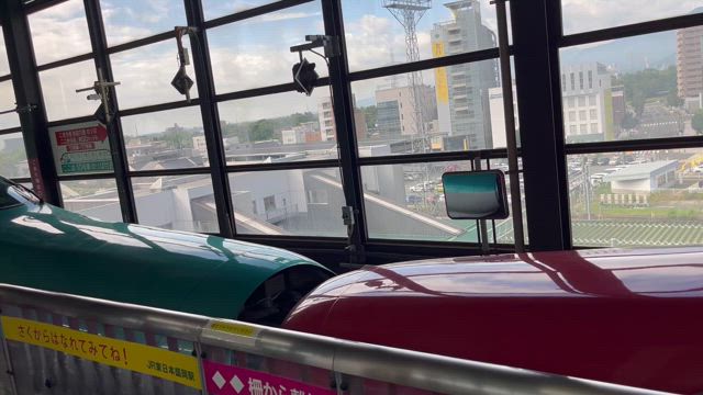 残暑の大冒険の記事動画