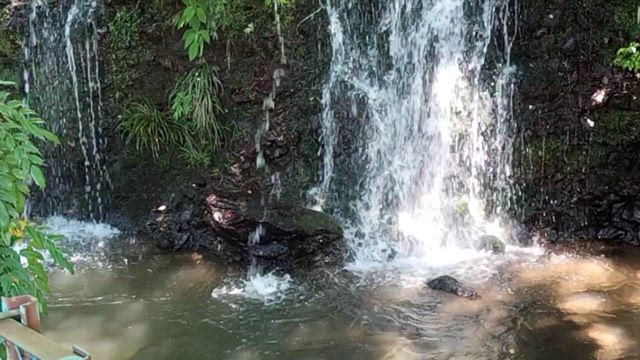 静岡県三島『瀧川神社』参拝レポ☆彡の記事動画