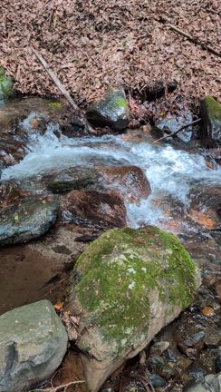初めての沢登りの記事動画