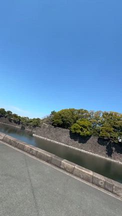 皇居の記事動画