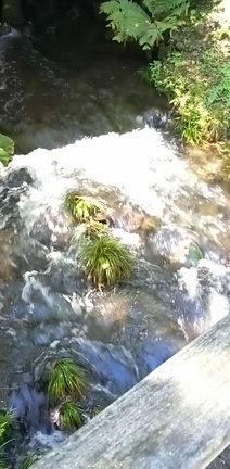 【小さな旅】　軽井沢（5）終わりの記事動画